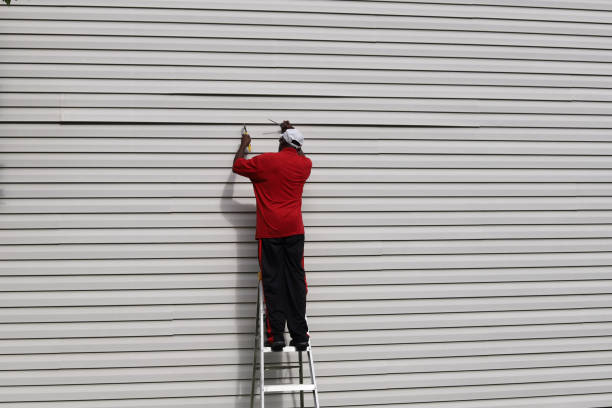 Best Vinyl Siding Installation  in Ogden, UT